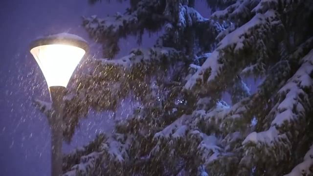 Страшная история на ночь | Полет птеродактиля | Мистика на ночь | Хоррор | Черный Рик смотреть онлайн