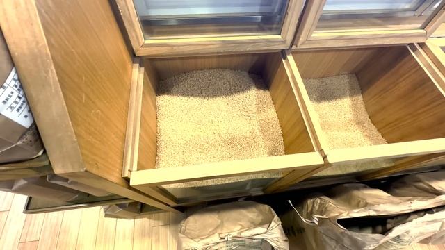 TOKYO'DA 1 GÜN TURİST GİBİ GEZİYORUM | JAPONYA PAHALI MI? KAMAKURA VE SAMURAY