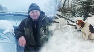 Заполевали парочку! Охота на ЗАЙЦА! Сезон 2023 - 2024г. #13