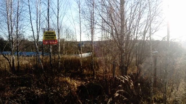Продажа участка в охраняемой зоне село Буринов... смотреть онлайн