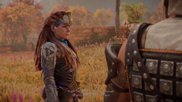 Horizon Forbidden West PC #3 4K60 Ultra HD RTX Walkthrough No Commentary Random Nurse смотреть онлайн