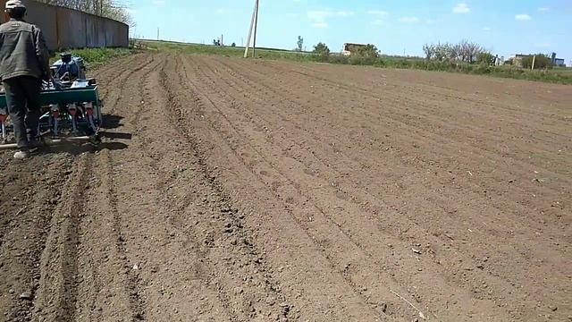 Посев суданской травы, сеялкой Кентавр смотреть онлайн