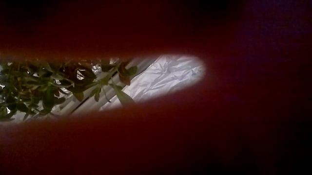 2012 07 30 120 смотреть онлайн