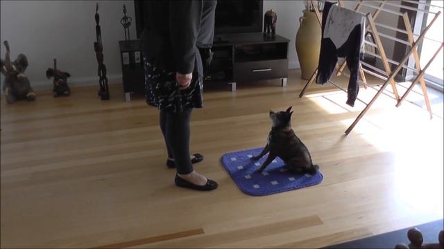 Carina & Bongo Mat Work 01.07.13 смотреть онлайн