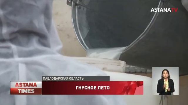 Нашествие комаров: павлодарцы взялись за самодельные огнемёты смотреть онлайн