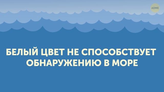 Почему круизные лайнеры белого цвета смотреть онлайн
