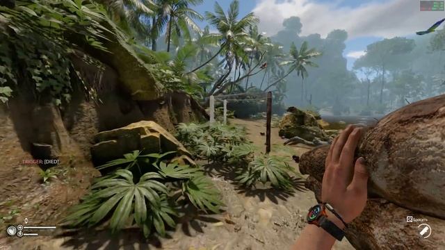 Говорящий обед ( Green hell ) смотреть онлайн