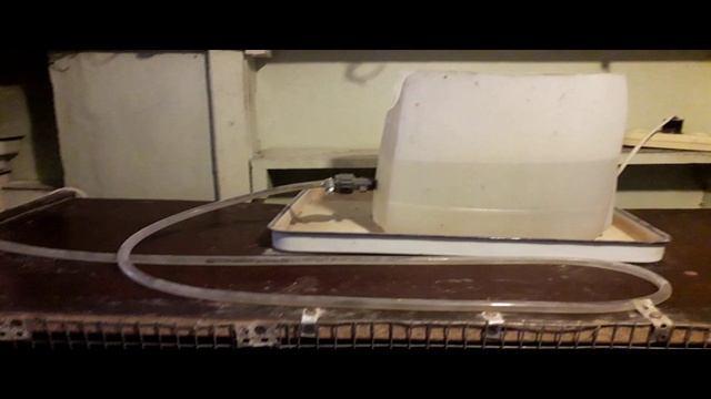 Обзор нашего брудера для перепелов! Сделан из подручных материалов смотреть онлайн