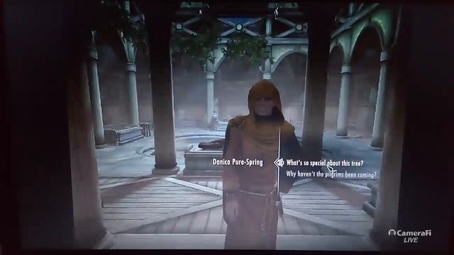 The Elder Scrolls V Skyrim Intel Dual-Core processor Without GPU 2 GB RAM In Windows 10 Benchmark смотреть онлайн