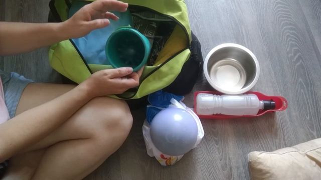 СБОРЫ в ГОРЫ | СУМКА для СОБАКИ | Что взяли в дорогу для собаки?