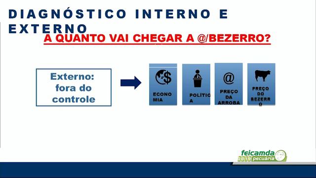 Palesta Thiago Carvalho Cepea-Usp FEICAMDA 2019 смотреть онлайн