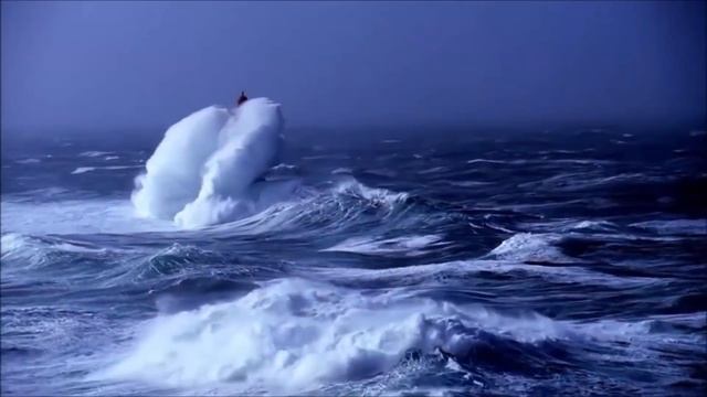 7 Mysterious Deep Sea Creatures Spotted On Google Earth смотреть онлайн