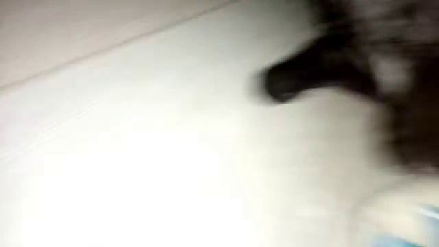 хотел сделать эксперимент над котом а он сделал эксперимент надо мной... смотреть онлайн