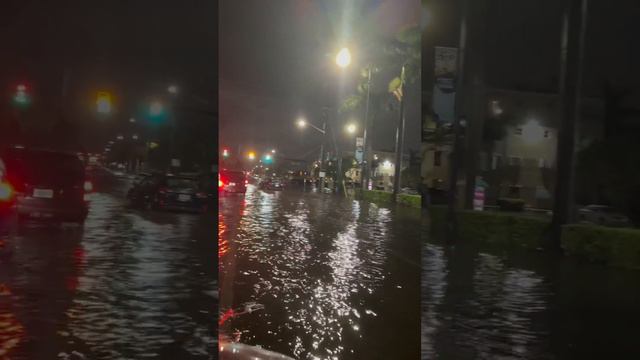 Майами затоплено водой 😨 #андрейразин #майами #flashflood смотреть онлайн
