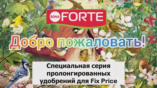 Пролонгированное гранулированное удобрение Bona Forte, серия для Fixprice. Удобрение для петуний. смотреть онлайн