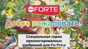 Пролонгированное гранулированное удобрение Bona Forte, серия для Fixprice. Удобрение для петуний.