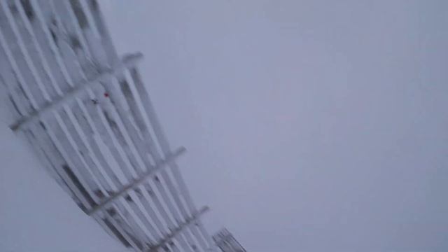 Birds of Vemdalen 2021 Птицы Вемдалена! смотреть онлайн
