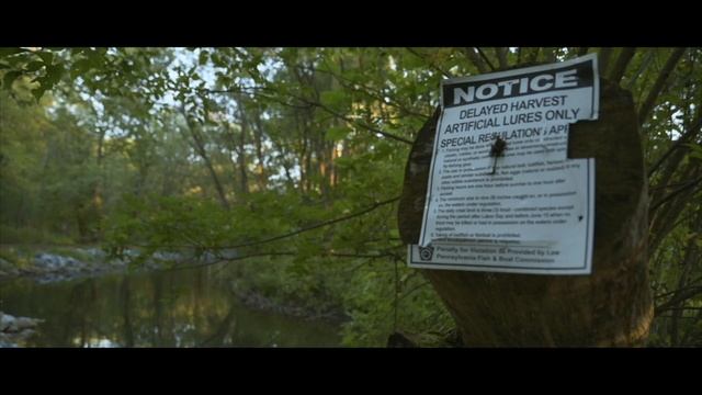Nikon Z6 Cinematic Video Test смотреть онлайн