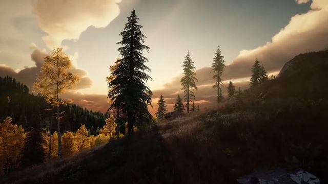 2020 04 03 Н Б Мельников смотреть онлайн