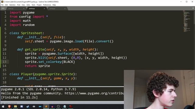 Pygame Images With Sprite Sheet - Pygame RPG Tutorial #4