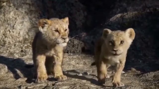 Арыстан патша 32 смотреть онлайн