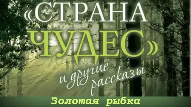 Золотая рыбка / Протоиерей Андрей Ткачев / Рассказ из книги "Страна чудес и другие рассказы" смотреть онлайн