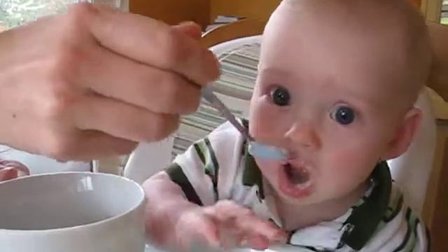 Rocco In His High Chair