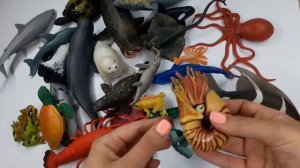 Обзор игрушек / Водные обитатели #игрушки #вода #море Это кто?