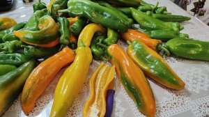 Перец сладкий Рамиро. Очень Сладкий.