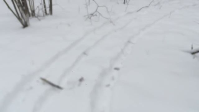 Моторолле Муравей 250 ВАЛИТ!!! + замер расхода топлива. смотреть онлайн