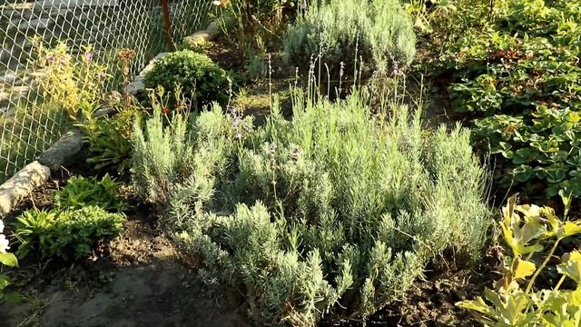 Ремонтный Калейдоскоп