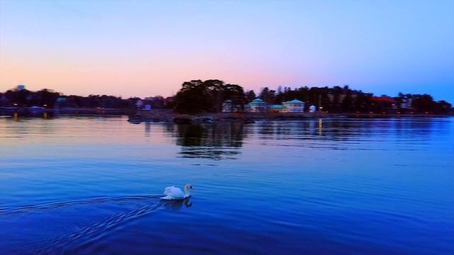 Nynäshamn смотреть онлайн