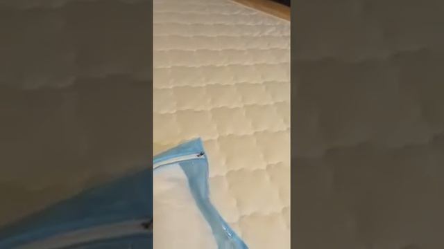 Отзыв о матрасе Lonax Беспружинные Cocos 15 140*200 и магазине «Анатомия сна" смотреть онлайн