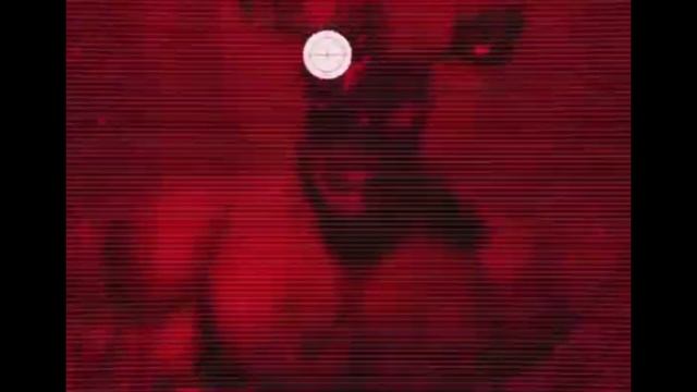 Кто такая и куда пропала Micko_kit смотреть онлайн