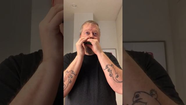 Hawk's Harmonica Dance смотреть онлайн