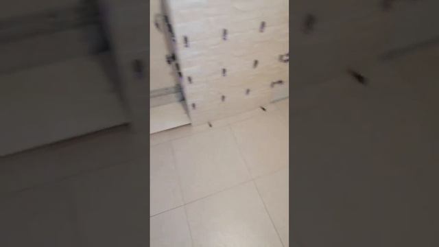 Шёл 5 день укладки плитки смотреть онлайн