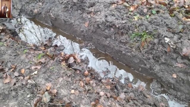 Сбор Клюквы в Беларуси на лесном болоте. Как не заблудиться. смотреть онлайн