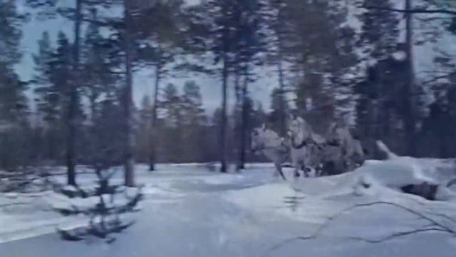 кони - минусовка