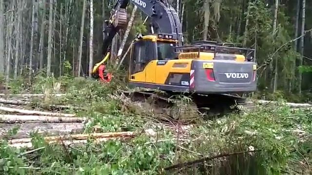 WhatsApp Video 2019 08 12 at 16 16 55 смотреть онлайн
