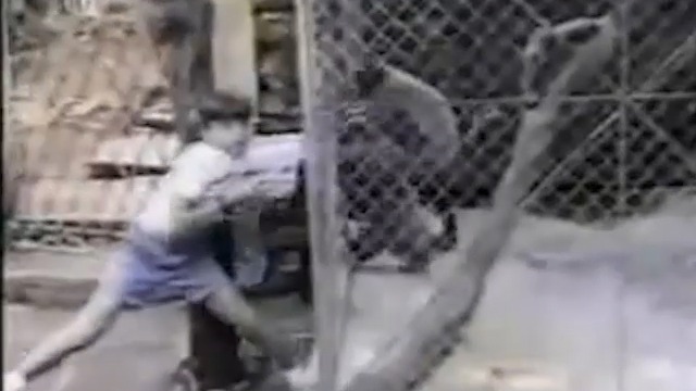 Старые добрые прикролы смотреть онлайн