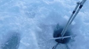 Практик 8, а что так можно было! тест бокового обзора зимой.