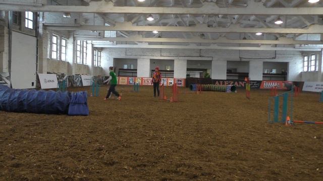 6.03.17 Аджилити. Новички (1) смотреть онлайн