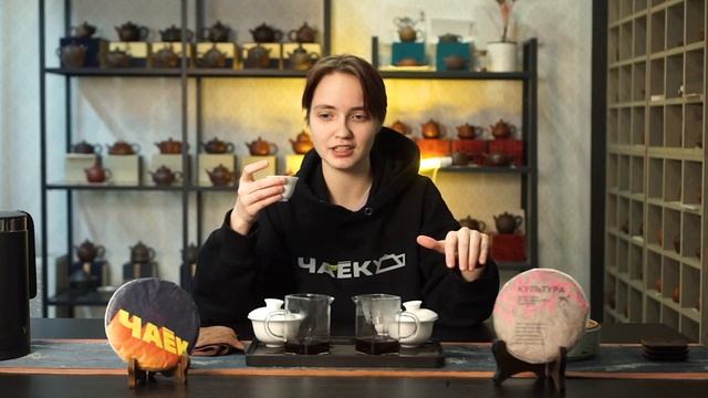 Выбираем лучший шу пуэр | оценка эксперта | чёрный пуэр | чаёк Chaekshop