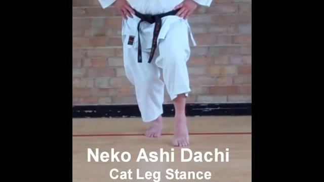 Karate Stances Basic Shotokan Stances Neko Ashi Dachi - Cat Stance смотреть онлайн