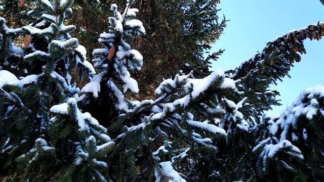 4 января-НАСТАСЬИН ДЕНЬ.Покровительница беременных.Почести матерям.Не делайте это сегодня.Приметы смотреть онлайн