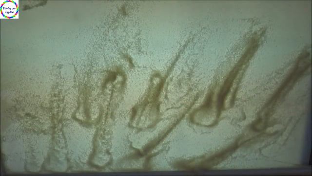 Мульт-открытка "С 8 марта мама!" от мультстудии "Радуга чудес" смотреть онлайн