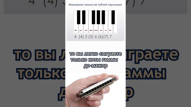 Чем отличается диатоническая губная гармошка от хроматической? смотреть онлайн