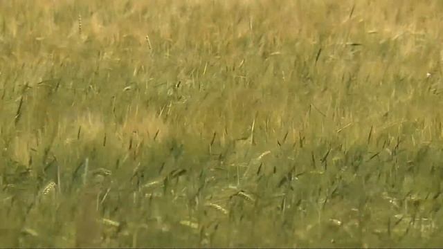 В Татарстане продолжается капитальный ремонт домов смотреть онлайн