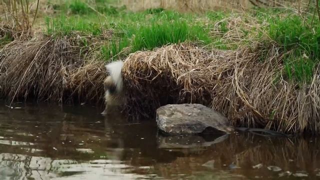БУДНИ В УРАЛЬСКОЙ ДЕРЕВНЕ _ КУПАНИЕ НА РЕКЕ _ ОГОРОД _ ЖАРА смотреть онлайн