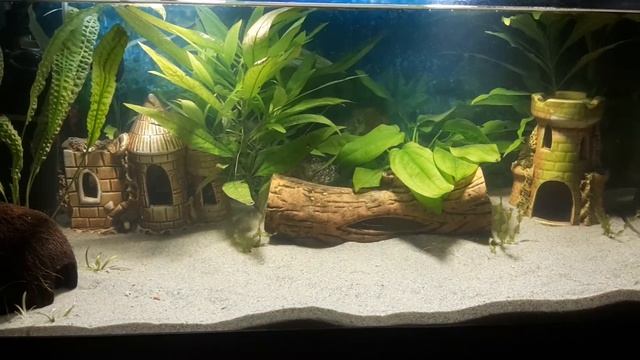 Запуск на речном песке.Часть-2 смотреть онлайн